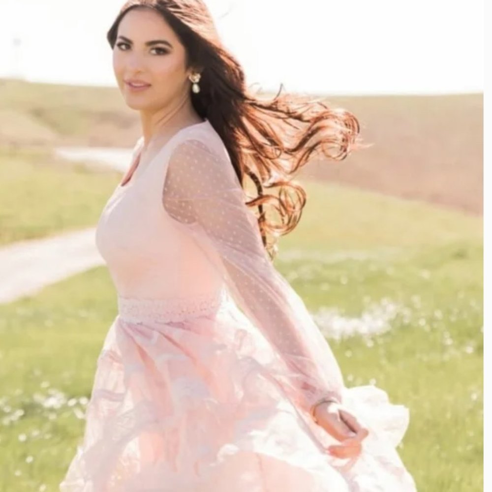 Rachel Parcell Blush Pink Tiered Ruffle Long Sleeves Lace Midi Dress XXS NWT
